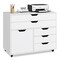 Modern Vertical 5-Drawer Mobile Chest with Door 5 Casters-White
